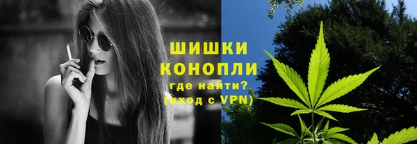 ГАЛЛЮЦИНОГЕННЫЕ ГРИБЫ Абаза