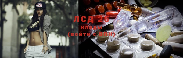 a pvp Алзамай