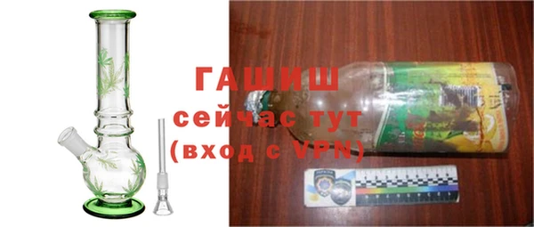 ГАЛЛЮЦИНОГЕННЫЕ ГРИБЫ Абаза