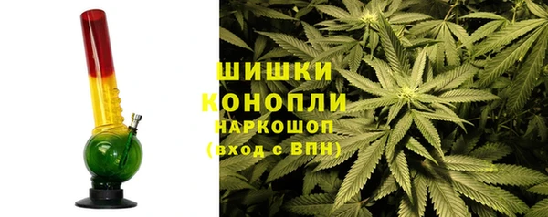 ГАЛЛЮЦИНОГЕННЫЕ ГРИБЫ Абаза
