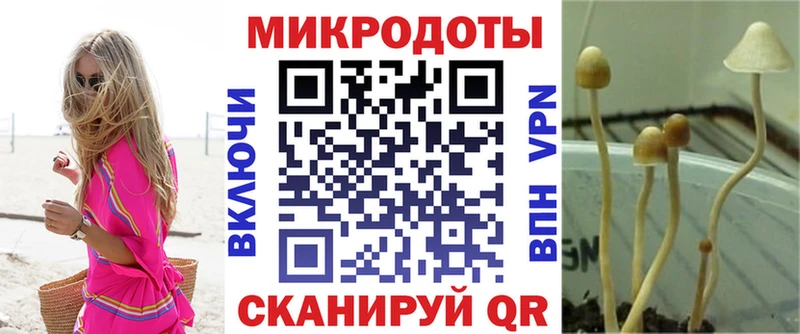 Галлюциногенные грибы мицелий  Нальчик 
