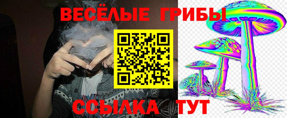 Псилоцибиновые грибы Нальчик