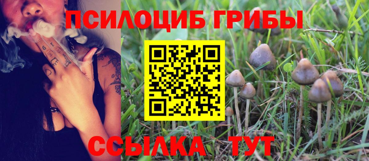 Псилоцибиновые грибы Psilocybe  Вход с VPN  Нальчик  Псилоцибиновые грибы Magic Shrooms 